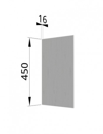 Панель торцевая (для шкафа горизонтального высокого) ВПГ Ройс (Графит софт) в Посевной - posevnaya.mebel54.com | фото