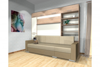 Шкаф-кровать с диваном Каролина в Посевной - posevnaya.mebel54.com | фото